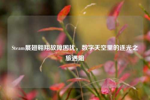 Steam展翅翱翔故障困扰，数字天空里的逐光之旅遇阻