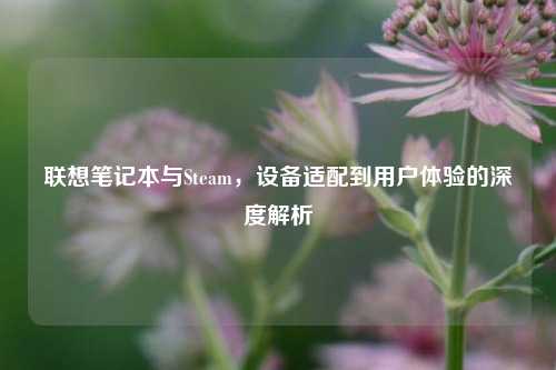 联想笔记本与Steam，设备适配到用户体验的深度解析