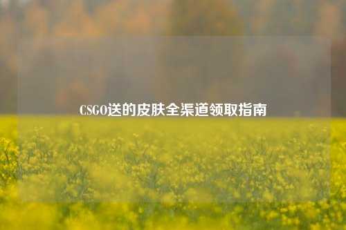 CSGO送的皮肤全渠道领取指南