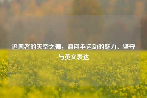 追风者的天空之舞,滑翔伞运动的魅力、坚守与英文表达