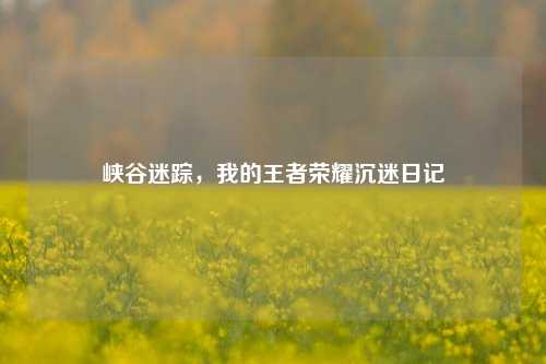峡谷迷踪，我的王者荣耀沉迷日记