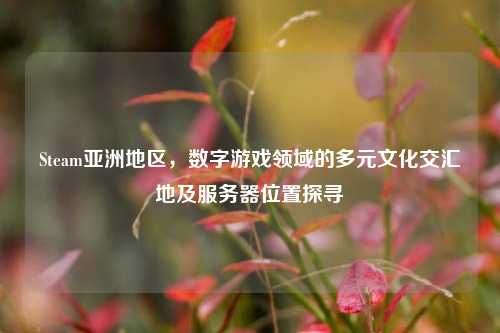 Steam亚洲地区，数字游戏领域的多元文化交汇地及服务器位置探寻