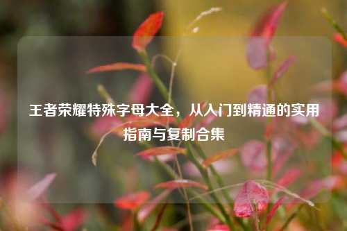 王者荣耀特殊字母大全，从入门到精通的实用指南与复制合集