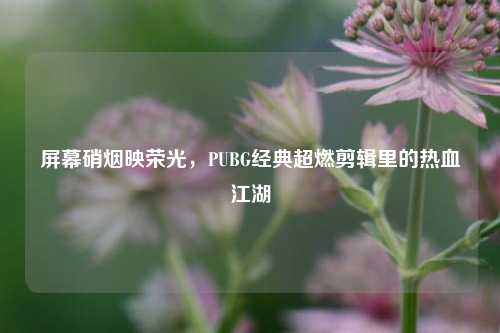 屏幕硝烟映荣光，PUBG经典超燃剪辑里的热血江湖