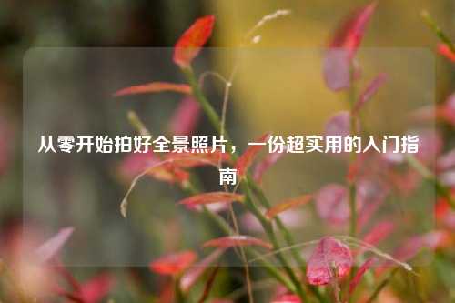 从零开始拍好全景照片，一份超实用的入门指南