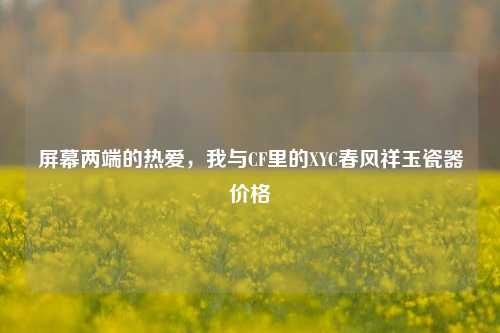 屏幕两端的热爱，我与CF里的XYC春风祥玉瓷器价格