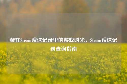 藏在Steam赠送记录里的游戏时光，Steam赠送记录查询指南