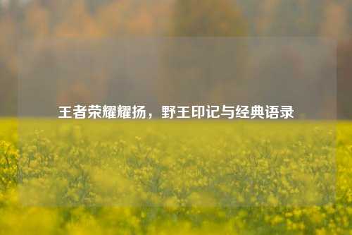 王者荣耀耀扬,野王印记与经典语录