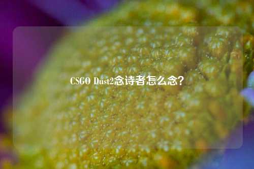 CSGO Dust2念诗者怎么念?