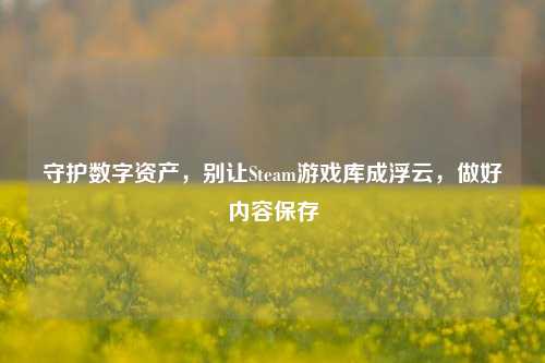 守护数字资产,别让Steam游戏库成浮云,做好内容保存