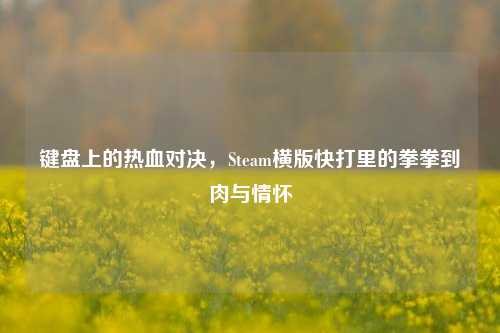 键盘上的热血对决,Steam横版快打里的拳拳到肉与情怀