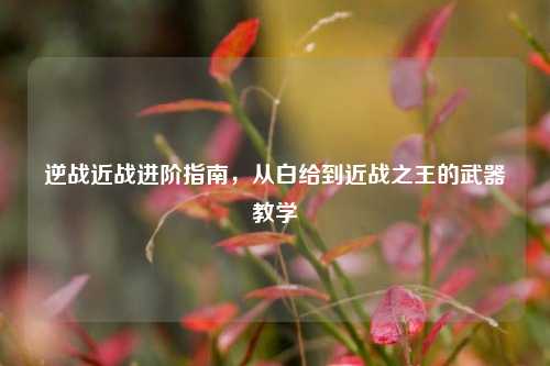 逆战近战进阶指南,从白给到近战之王的武器教学