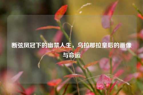 断弦凤冠下的幽禁人生,乌拉那拉皇后的画像与命运