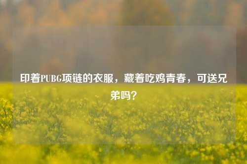 印着PUBG项链的衣服,藏着吃鸡青春,可送兄弟吗?