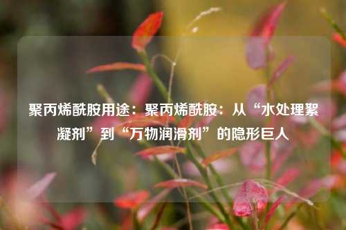 聚丙烯酰胺用途:聚丙烯酰胺:从“水处理絮凝剂”到“万物润滑剂”的隐形巨人