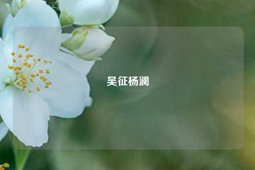 吴征杨澜
