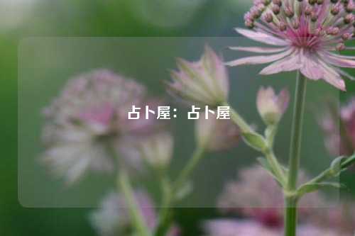 占卜屋：占卜屋