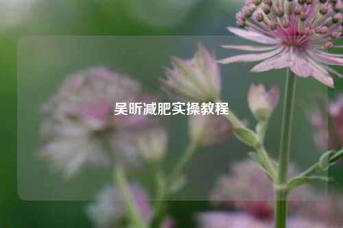 吴昕减肥实操教程