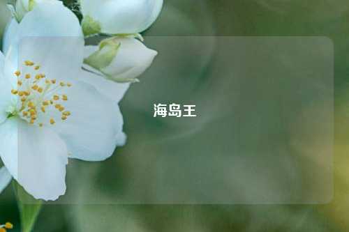 海岛王
