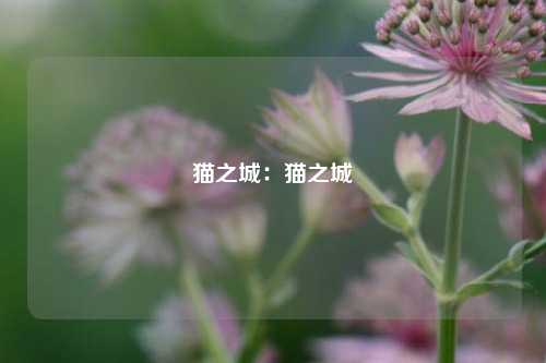 猫之城：猫之城
