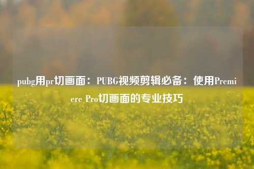 pubg用pr切画面：PUBG视频剪辑必备：使用Premiere Pro切画面的专业技巧