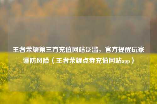 王者荣耀第三方充值网站泛滥,官方提醒玩家谨防风险(王者荣耀点券充值网站app)