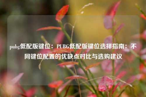pubg低配版键位：PUBG低配版键位选择指南：不同键位配置的优缺点对比与选购建议