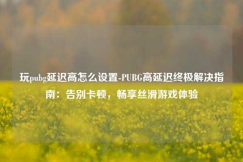 玩pubg延迟高怎么设置-PUBG高延迟终极解决指南：告别卡顿，畅享丝滑游戏体验