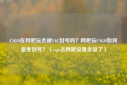 CSGO在网吧玩会被VAC封号吗？网吧玩CSGO如何避免封号？（csgo去网吧设置全没了）