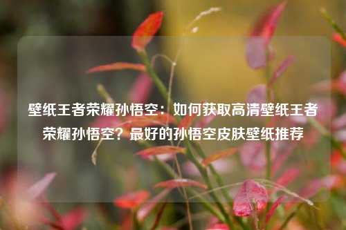 壁纸王者荣耀孙悟空：如何获取高清壁纸王者荣耀孙悟空？最好的孙悟空皮肤壁纸推荐