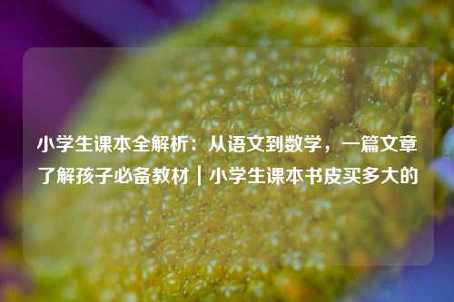 小学生课本全解析：从语文到数学，一篇文章了解孩子必备教材｜小学生课本书皮买多大的