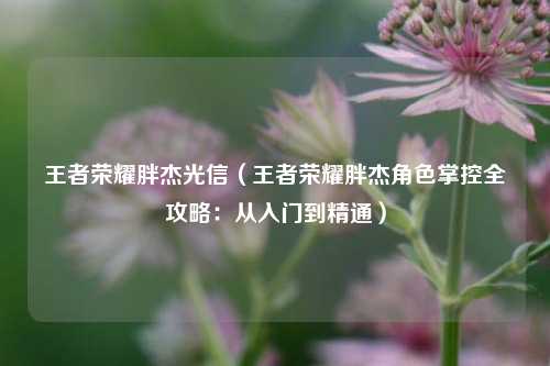 王者荣耀胖杰光信（王者荣耀胖杰角色掌控全攻略：从入门到精通）