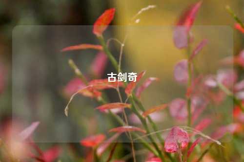 古剑奇