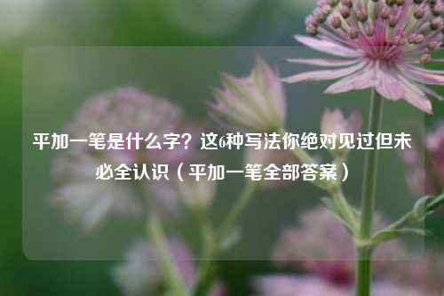 平加一笔是什么字？这6种写法你绝对见过但未必全认识（平加一笔全部答案）