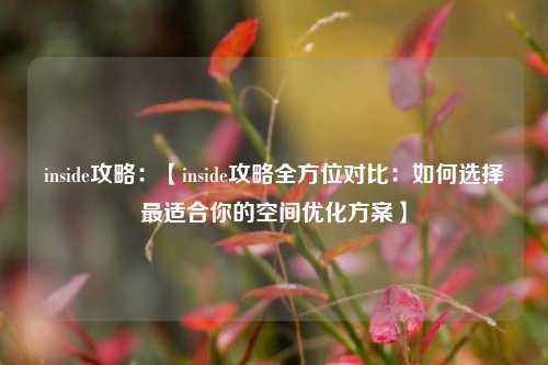 inside攻略：【inside攻略全方位对比：如何选择最适合你的空间优化方案】