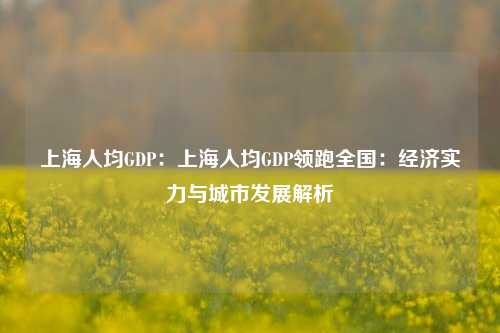 上海人均GDP：上海人均GDP领跑全国：经济实力与城市发展解析