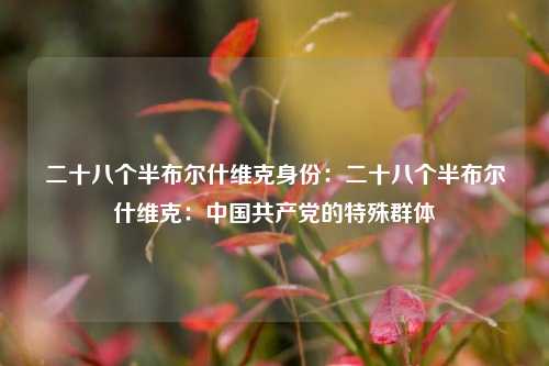 二十八个半布尔什维克身份：二十八个半布尔什维克：中国共产党的特殊群体